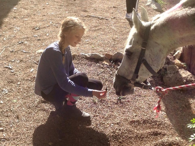 Alimentando al equino blanco